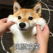 求求你不要打我头了