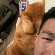 三十八岁离异带两娃考