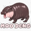 MOO DENG