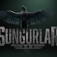 R.S - steam id 76561199140881204