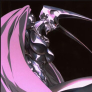 导管的狗 王晶陶