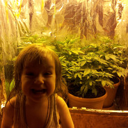 freemansereganorilsk