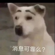 鹿儿瞎撞