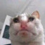 Dronge