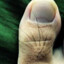 Colonel &quot;Toe-Hair&quot; - The Great