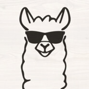 Tim&#039;s Llamas