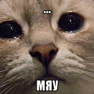 ________________________________