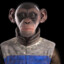 notmonkey
