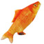 0FISH