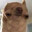 Chaotic Steam avatar