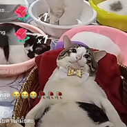 готовлюсь к экзаменам