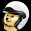 rallydoge