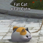 Fat cat