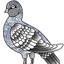 TaTTooedPidgeon