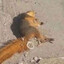 нахуй