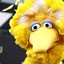 Big Bird