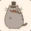 Pusheen