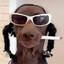 Snopp Doog