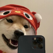 满朝花醉三千客