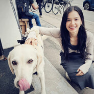 去码头整点薯条