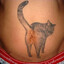 IFingerMyCatsAnus