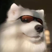 阳光开朗大美女