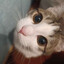 Душнилятор yooma.su