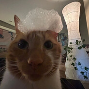 Властелин Гойдец: Братство ZoVца