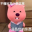 高素质玩家