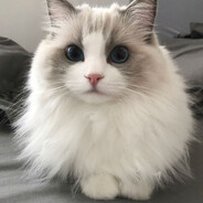 ➳𝓙𝒶𝓪𝓷𝓲࿐