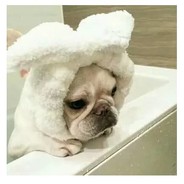 廷子欧巴拯救你