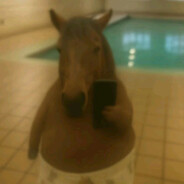 SNiD