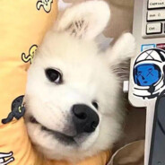 那天你还是走了