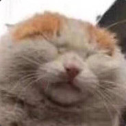 szyy