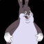 bugs