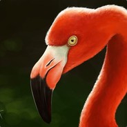 Flamingo Necmi