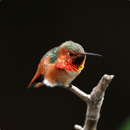 Fart - steam id 76561197963176836
