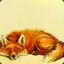 Vulpes