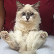 今晚带你去兜风