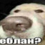 Учусь Играть