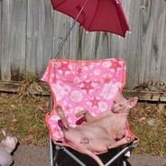 ็็็็็็็็็็