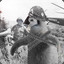 Penguin warfare