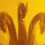 Ghidorah