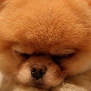 二营长把你意大利炮拉