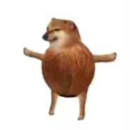cowboyikun