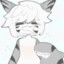 Shork