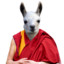 Dalai Lama #Fleedem AKA Ding Don