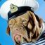 sailordog56