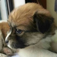 S448C-AAQC-S23DE-KTML