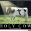 Almighty Cow